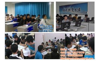 信息技術綜合服務 從咨詢到開發的全面解決方案